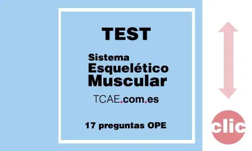 test auxiliar de enfermeria tcae Sistema esquelético muscular