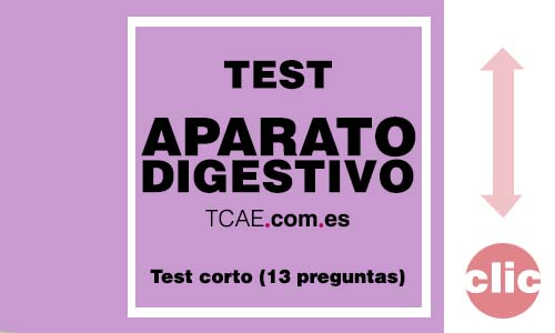 test auxiliar de enfermeria tcae aparato digestivo