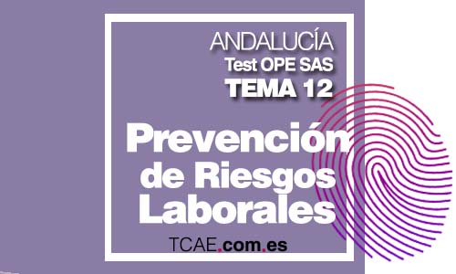 Test TCAE Auxiliar de Enfermería Tema 12 Prevención de Riesgos Laborales específicos de la categoría OPE Oposiciones SAS