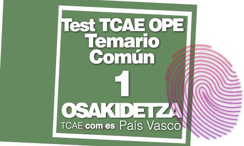 Test-TCAE-OPE-Oposición-Auxiliar-de-Enfermería-Común-OSAKIDETZA-País-Vasco-1