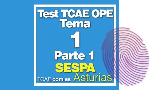 Test-TCAE-constitucion-española-titulo-1-Parte-1
