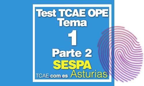 Test-TCAE-constitucion-española-titulo-1-Parte-2