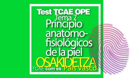 Tema-7-test-siguiendo-temario-ope-OSAKIDETZA-Principio anatomofisiológicos de la piel