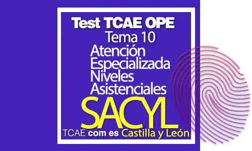 Test-TCAE-OPE-Auxiliar-de-Enfermería-SACYL-Comunidad-Castilla-y-León-Atención-Especializada-Niveles-Asistenciales-Tema-10