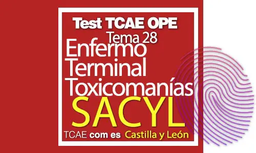 Test-TCAE-OPE-Auxiliar-de-Enfermería-SACYL-Comunidad-Castilla-y-León-Enfermo-Terminal-Toxicomanías-28