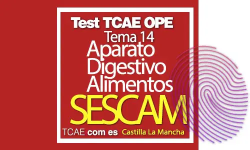 Test-TCAE-OPE-Auxiliar-de-Enfermería-SESCAM-Comunidad-Castilla-La-Mancha-aparato-digestivo-alimentos-Tema-14