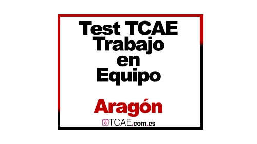 Test TCAE SAS Aragón Tema 15 Trabajo en equipo