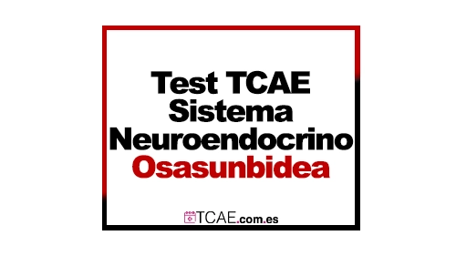 Test TCAE Sistema Neuroendocrino Osasunbidea navarra